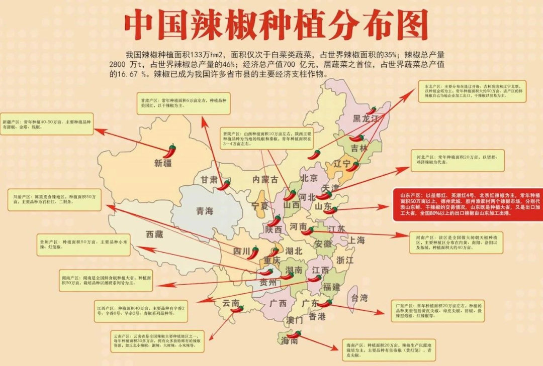 速看！中国最火爆辣椒品种大汇总，种植面积超过10万亩的都在这！