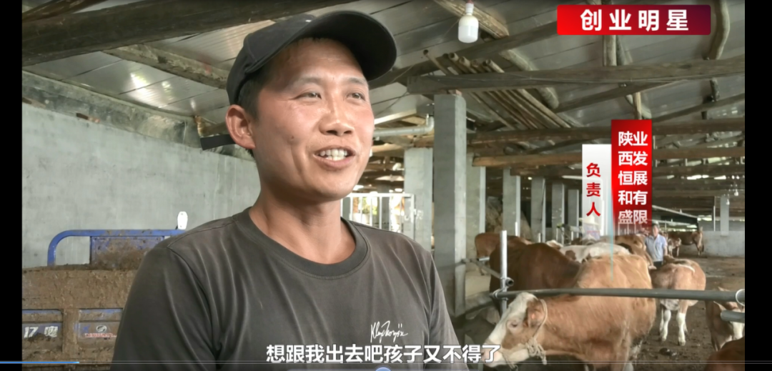 【创业明星】罗永恒：80后男子放弃百万年薪 返乡创业养致富牛