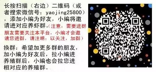 对虾养殖温度是多少_对虾养殖水温_多高温度适合对虾养殖技术