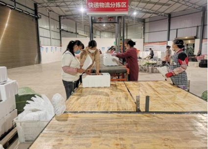 加工板栗的工厂_板栗加工厂需要哪些机器_致富经板栗加工
