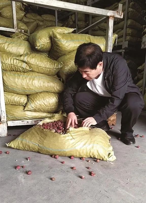 板栗加工产品_板栗加工厂需要哪些机器_致富经板栗加工