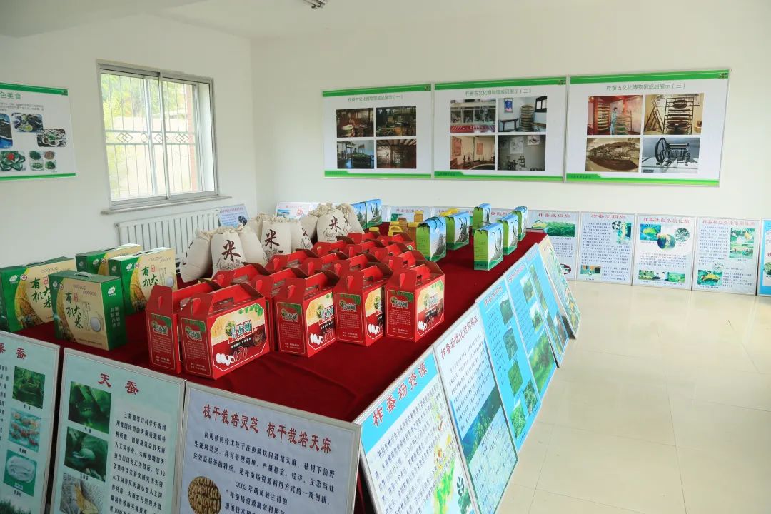 养柞蚕赚钱吗_传统养殖柞蚕技术_柞蚕养殖技术视频