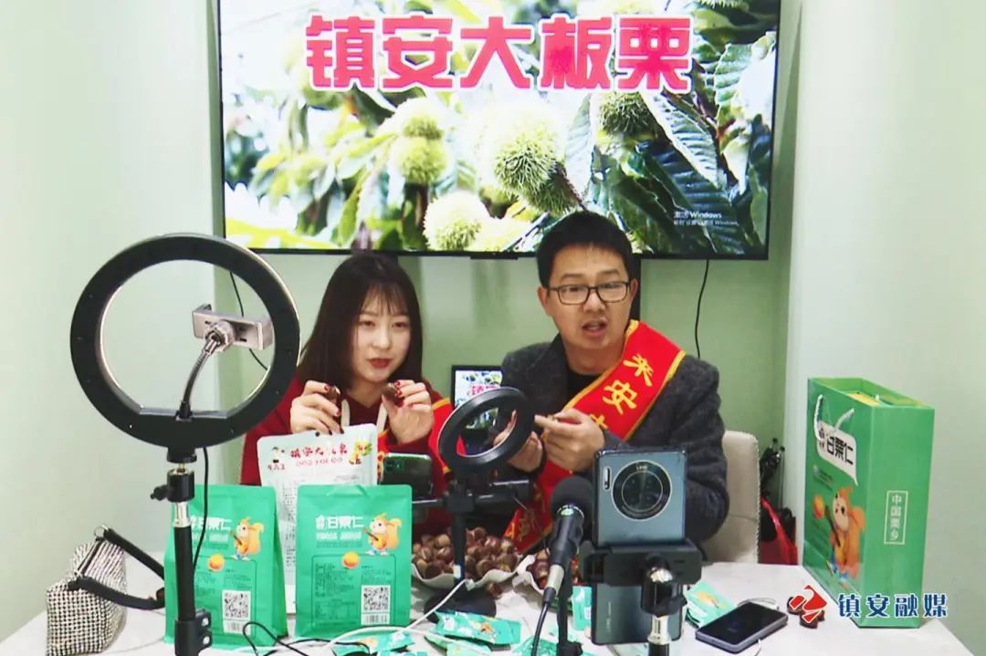 板栗加工厂需投资多少钱_板栗加工厂需要哪些机器_致富经板栗加工