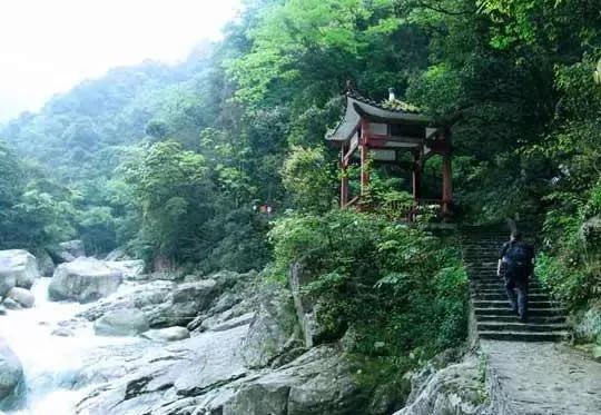 荆州魔芋种植技术_荆州种植魔芋技术培训学校_荆州种植魔芋技术培训