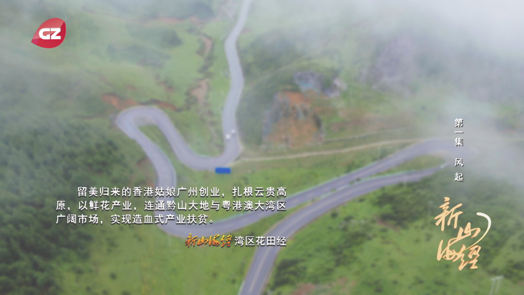 贵州农村致富项目_贵州的穷人_贵州有人上致富经吗