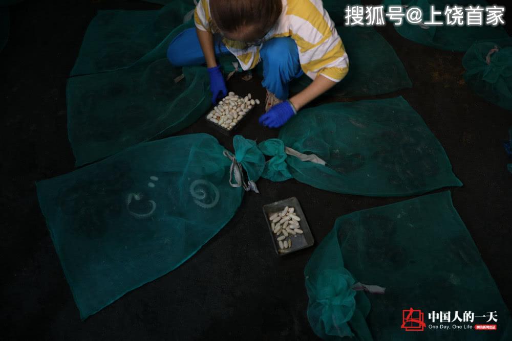 泡沫养殖致富项目_泡沫养殖大棚_致富泡沫养殖项目介绍