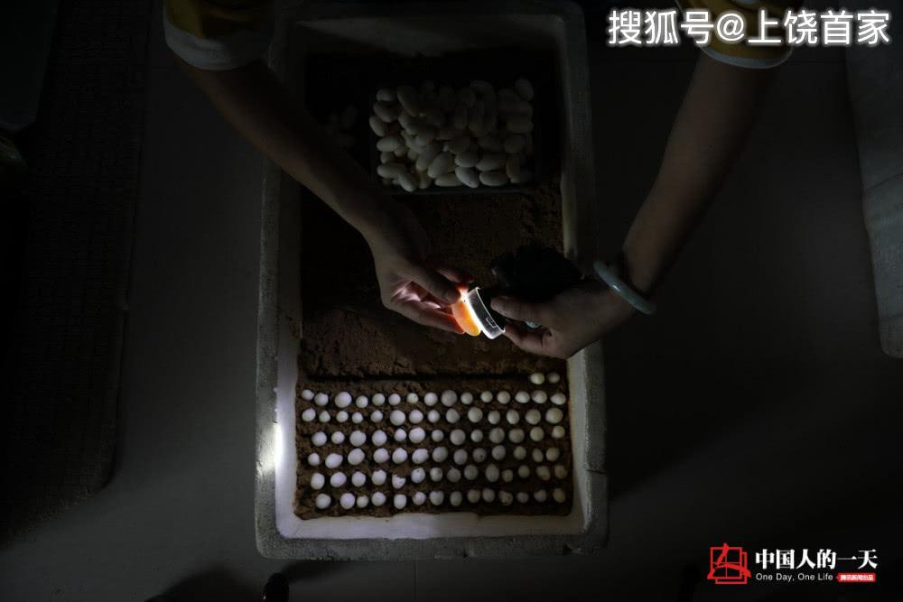 泡沫养殖致富项目_致富泡沫养殖项目介绍_泡沫养殖大棚
