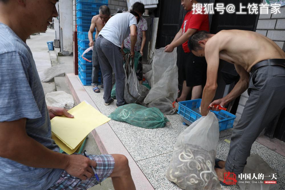泡沫养殖大棚_致富泡沫养殖项目介绍_泡沫养殖致富项目