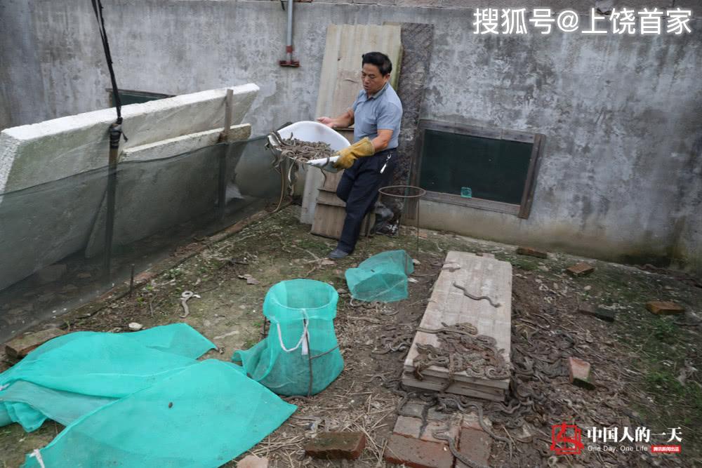 泡沫养殖大棚_致富泡沫养殖项目介绍_泡沫养殖致富项目