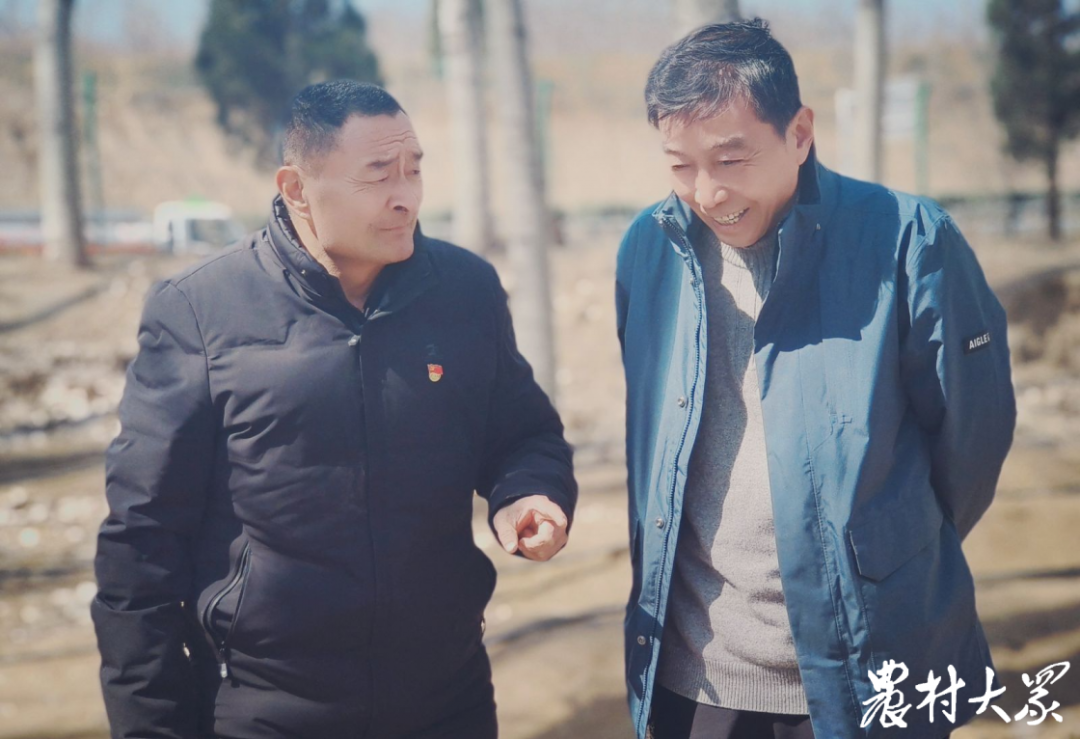 养殖金蝉视频_金蝉养殖的采卵技术_人工养殖金蝉技术视频