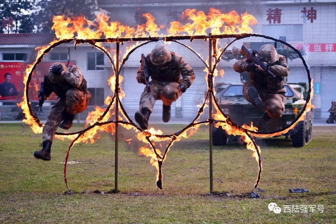 视频致富经_致富经大全视频_视频致富大全软件