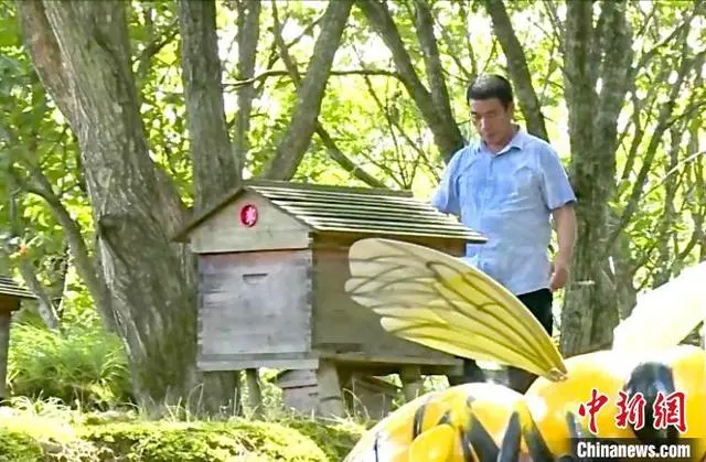 致富苑蜜蜂养殖_蜜蜂养殖场_蜜蜂致富经