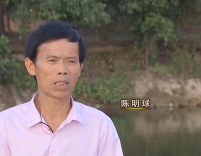 致富经石龟养殖_养殖石龟合法吗_致富养殖石龟视频