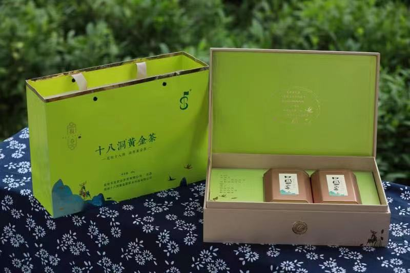 种植黄金茶有前景_致富种植黄金茶怎么样_黄金茶种植致富