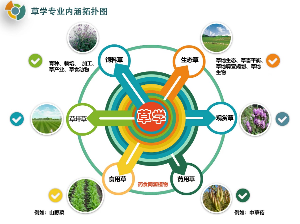 农业种殖技术_农业种植技巧_草农业种植技术