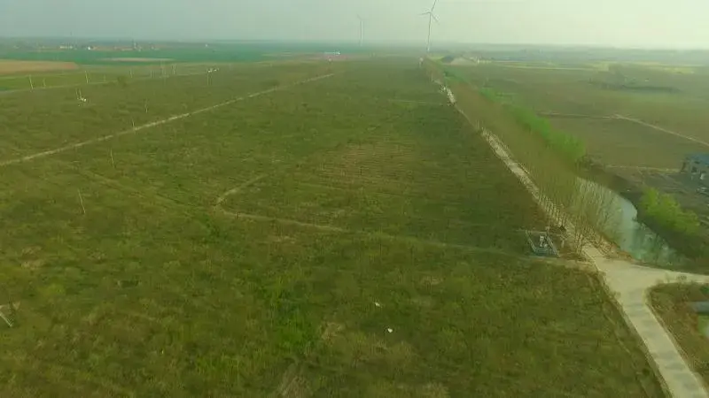 致富经种菜视频_cctv7致富经视频采摘园_致富种植视频全集