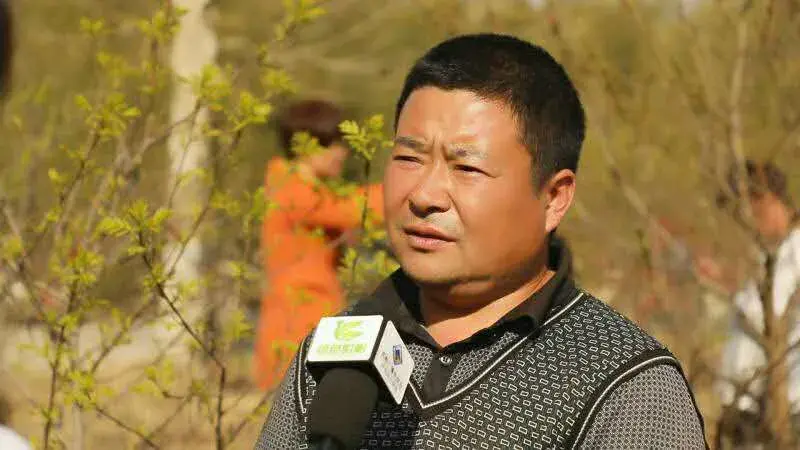致富经种菜视频_cctv7致富经视频采摘园_致富种植视频全集