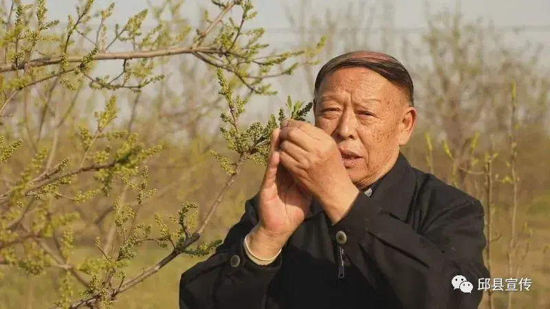 致富经种菜视频_致富种植视频全集_cctv7致富经视频采摘园