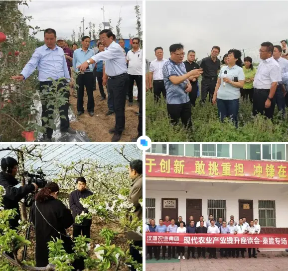 致富种田忙免费阅读_致富经种植业完整版_冬枣种植致富之路小说