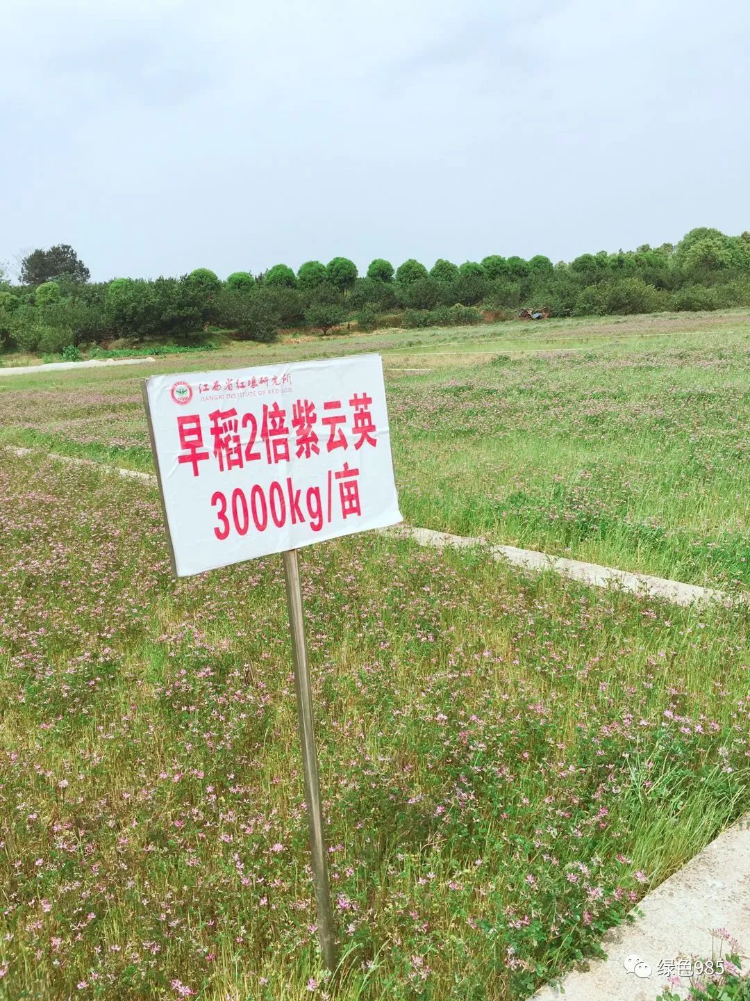 江西农村种植致富_江西农村种植致富_江西农村种植什么最赚钱