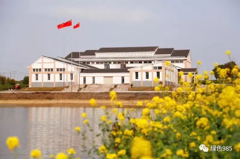 江西农村种植致富_江西农村种植致富_江西农村种植什么最赚钱