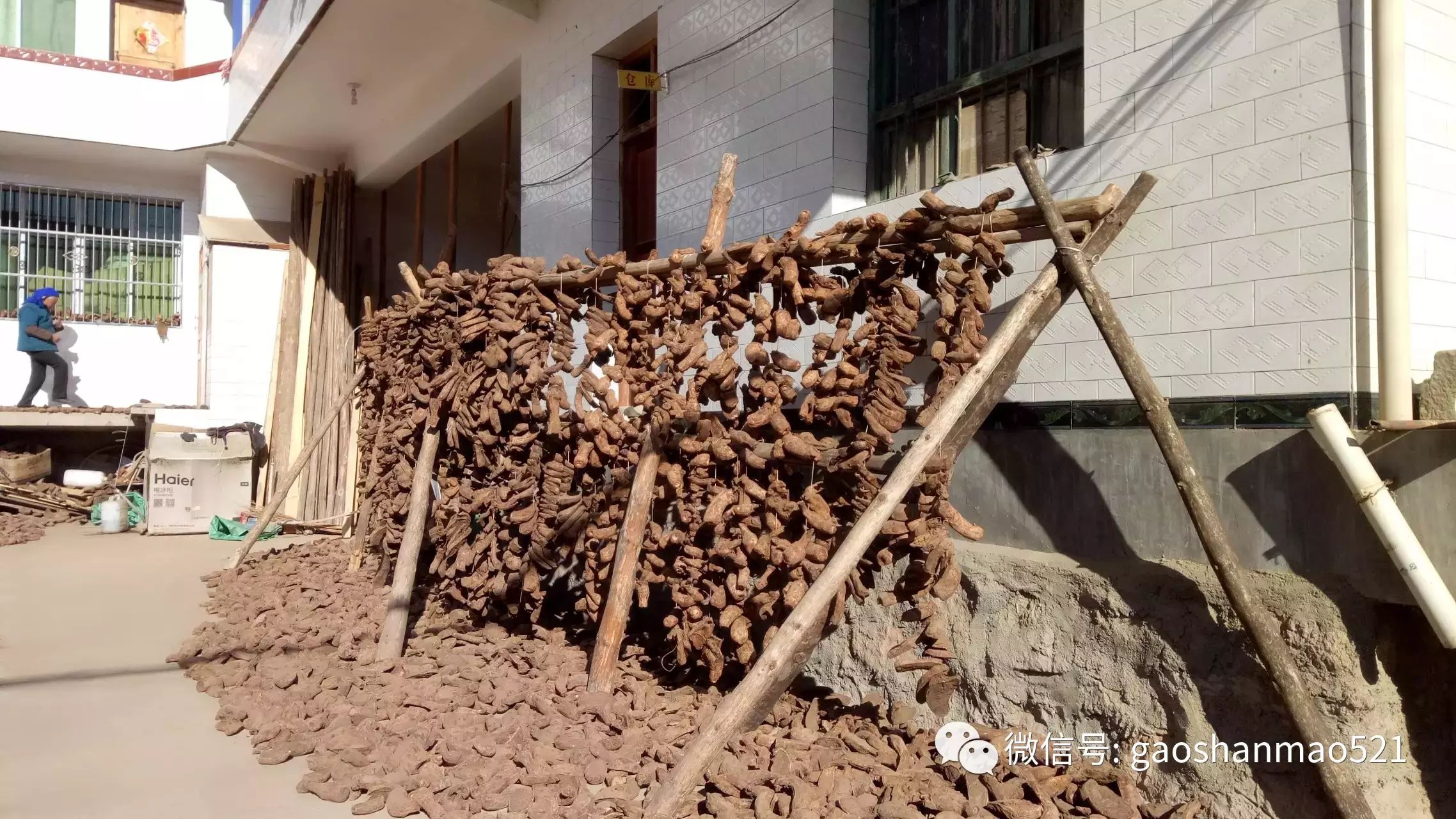 农村种植致富好项目视频_种植致富小技术视频教程_种菜视频致富经