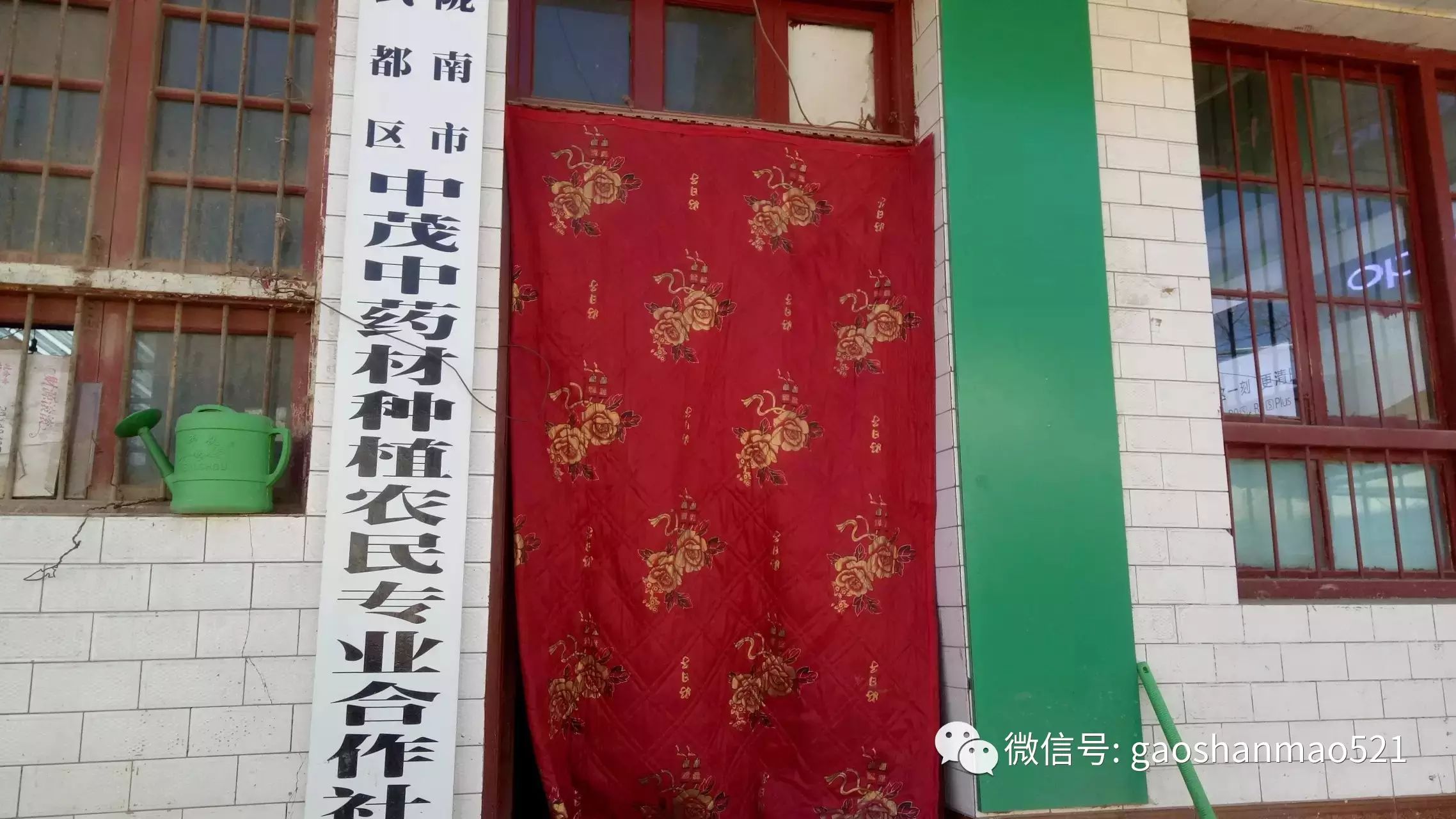 种菜视频致富经_种植致富小技术视频教程_农村种植致富好项目视频