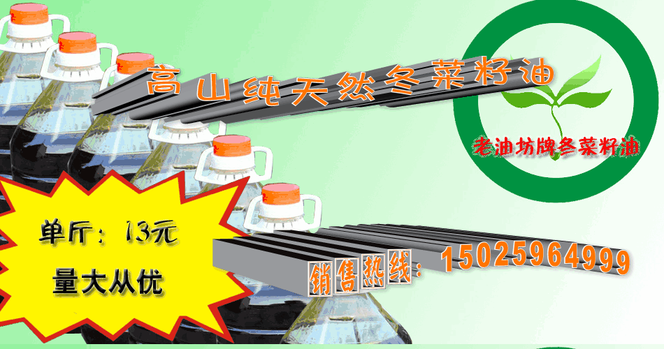 种菜视频致富经_种植致富小技术视频教程_农村种植致富好项目视频