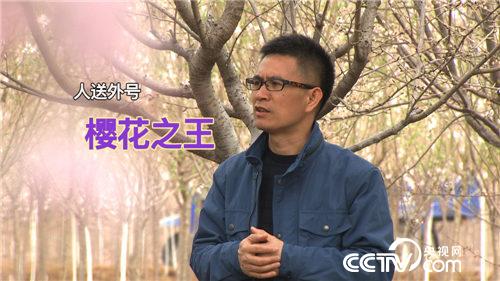 致富经：樱花之王 神秘招法赚来亿万财富(上)