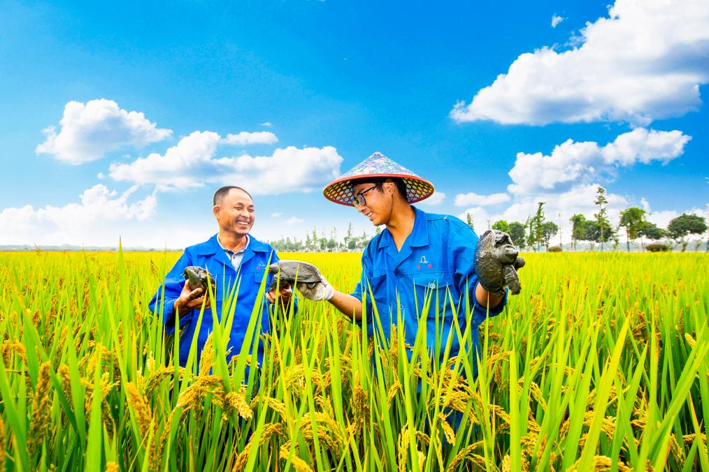 生态日·看美丽中国︱图说浙江生态农业