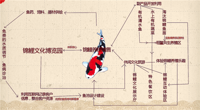 稻鳖共生养殖技术_稻鳖共生优点_稻鳖共生甲鱼养殖视频
