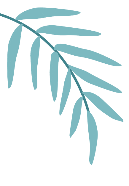 青鱼和草鱼养殖技术_养殖草鱼青鱼技术要点_草鱼青鱼怎么养殖