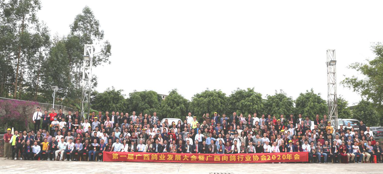 西安肉鸽养殖基地_养殖西安大型技术肉鸽基地_西安大型肉鸽养殖技术