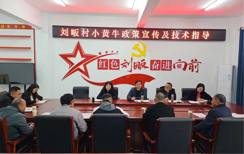 黄牛养殖技术培训_养殖黄牛赚钱吗_黄牛养殖培训 致富
