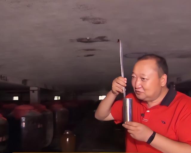 致富经养猪技术视频_超级猪养殖致富_致富经生态养殖猪视频