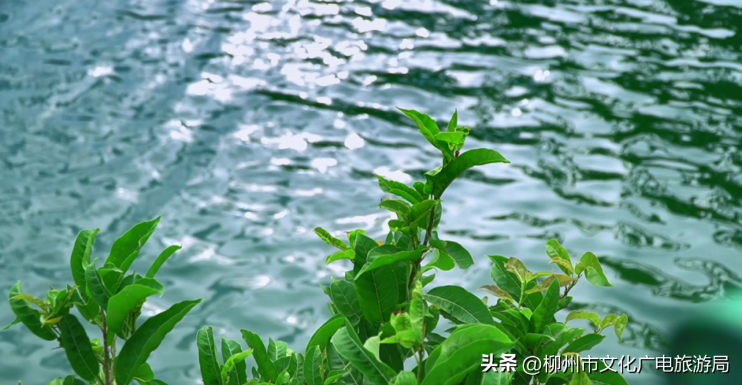 抖音旅游优质博主经验_抖音旅游类博主_抖音上的旅游博主靠什么赚钱