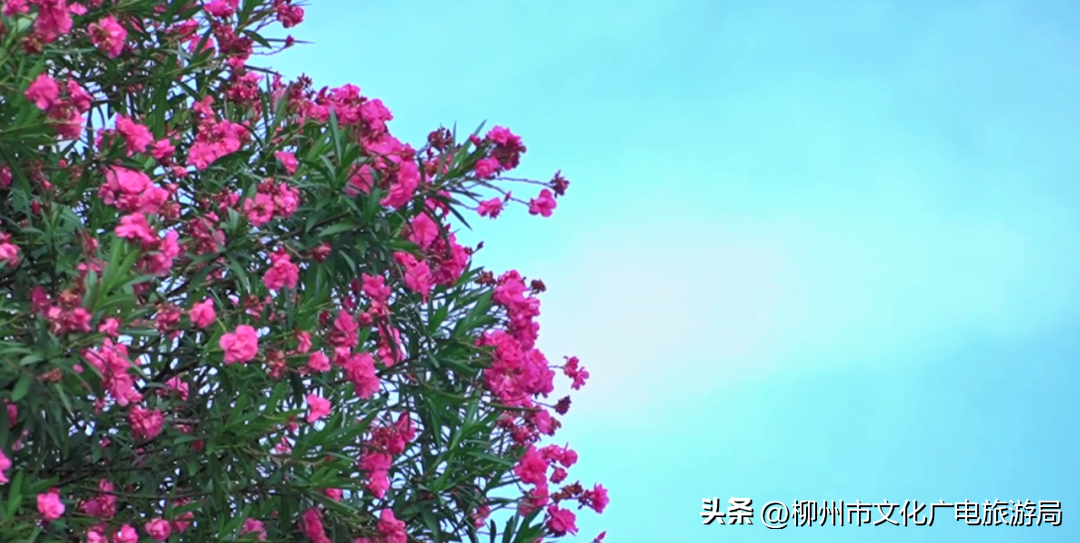 抖音旅游类博主_抖音上的旅游博主靠什么赚钱_抖音旅游优质博主经验
