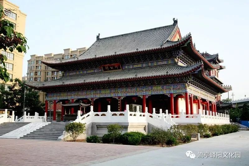 致富养殖蚂蚱故事视频_蚂蚱致富经_蚂蚱养殖致富故事