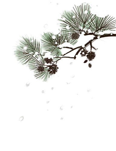 致富养殖蚂蚱故事视频_蚂蚱致富经_蚂蚱养殖致富故事