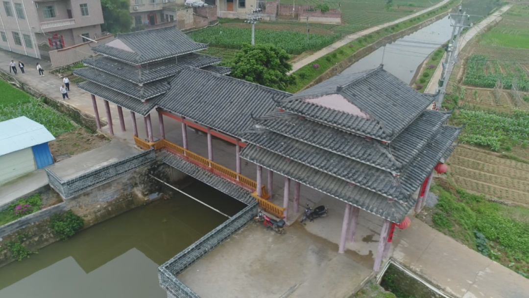 如何靠种植花卉致富_种花致富选什么品种_种花致富经