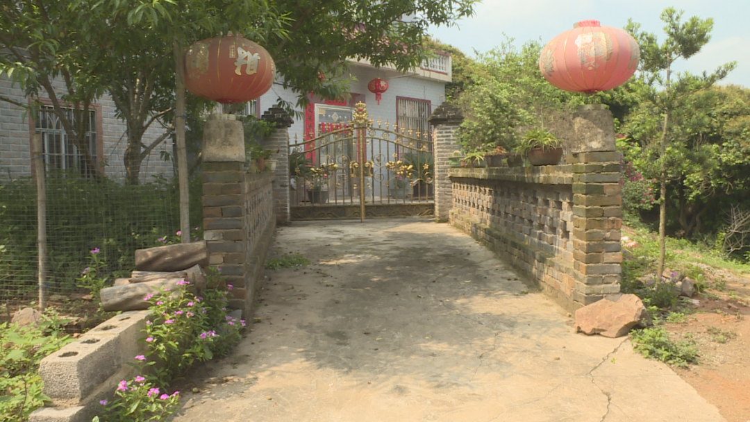 种花致富经_如何靠种植花卉致富_种花致富选什么品种