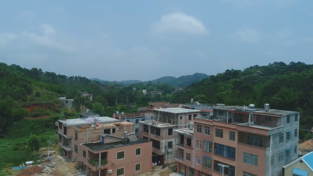 种花致富经_如何靠种植花卉致富_种花致富选什么品种