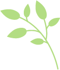 种花致富经_如何靠种植花卉致富_种花致富选什么品种