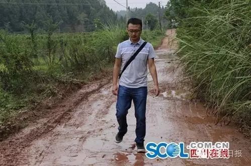 紫色山药种植技术要求_紫色山药种植技术_紫色山药怎么种植