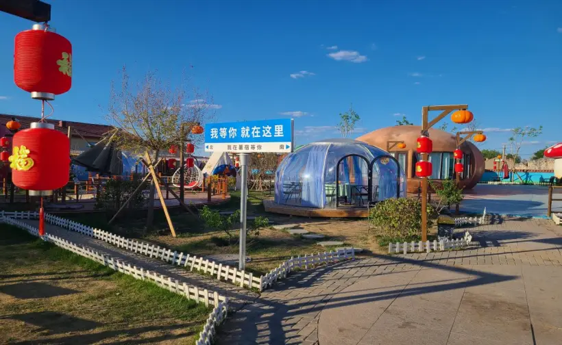 肉牛养殖增收致富_肉牛养殖致富经_养殖肉食牛的利润