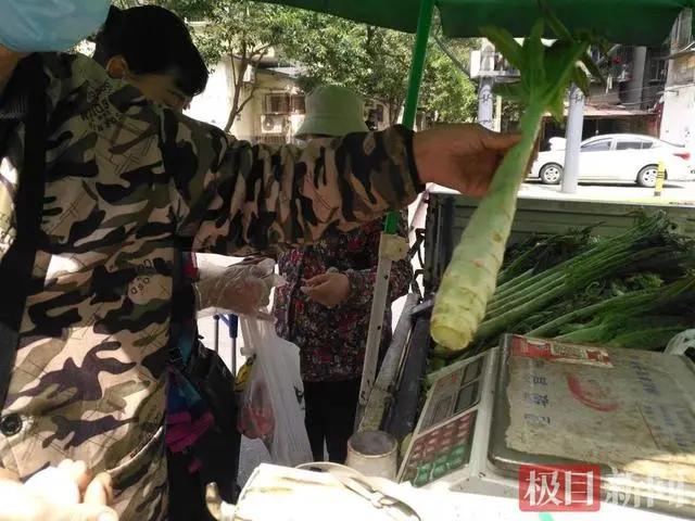 哪种菜最能代表武汉春天？答案可能是这个能一菜两吃的新品种……