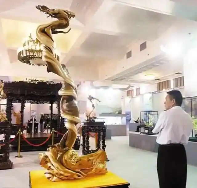 致富经养兰花怎样养根_养致富兰花根怎么养_致富经养兰花视频