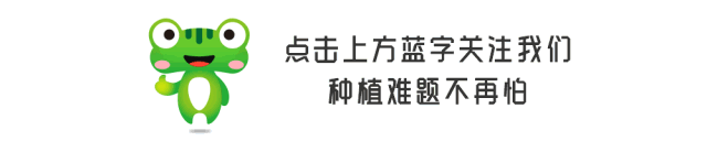 怎么栽葡萄苗种植技术_栽种葡萄苗方法_葡萄苗种植技术视频