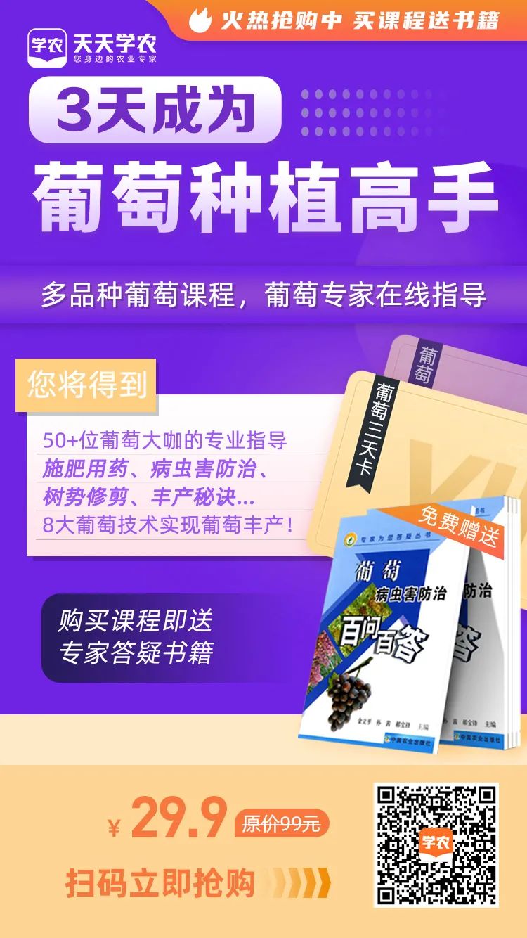 葡萄苗种植技术视频_栽种葡萄苗方法_怎么栽葡萄苗种植技术