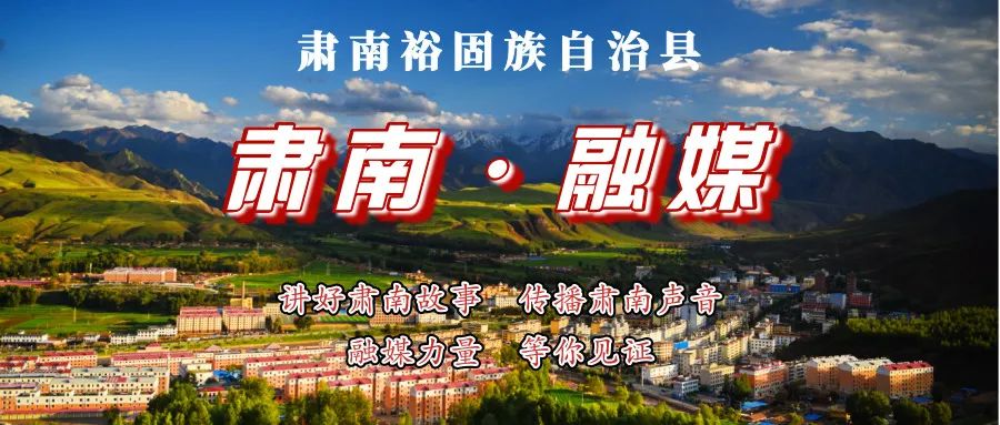 云杉树种植技术要求_种植树云杉技术要求有哪些_种云杉树的注意事项